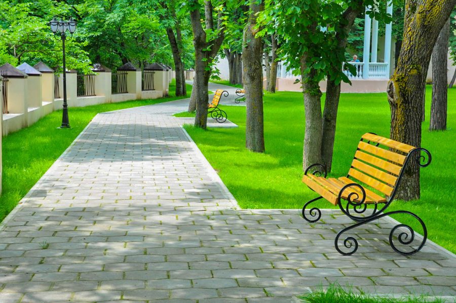 Территория в санатории Центросоюз в городе Кисловодске - фотография