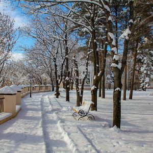 Территория в санатории Центросоюз в городе Кисловодске - фотография