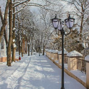 Территория в санатории Центросоюз в городе Кисловодске - фотография