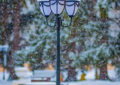Территория в санатории Центросоюз в городе Кисловодске - фотография