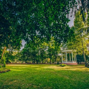 Территория в санатории Центросоюз в городе Кисловодске - фотография