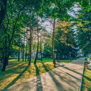Территория в санатории Центросоюз в городе Кисловодске - фотография