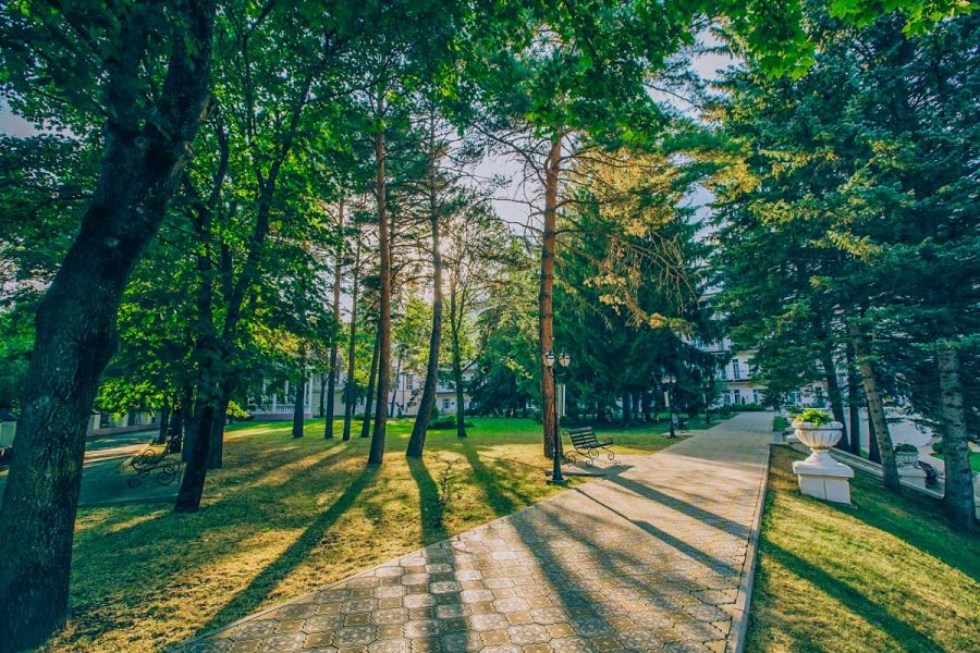 Территория в санатории Центросоюз в городе Кисловодске - фотография