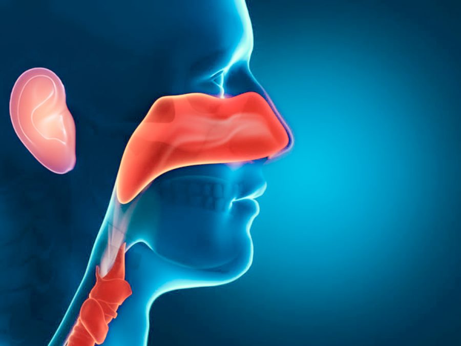 Лечение заболеваний ЛОР органов в санатории - фотография