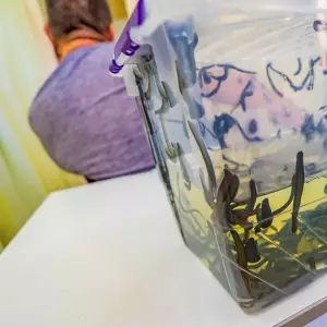 Гирудотерапия в санатории Центросоюз в городе Кисловодске - фотография