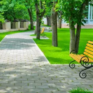 Территория в санатории Центросоюз в городе Кисловодске - фотография