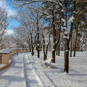 Территория в санатории Центросоюз в городе Кисловодске - фотография