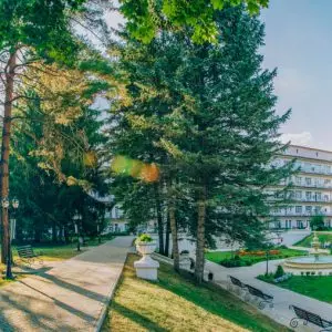 Территория в санатории Центросоюз в городе Кисловодске - фотография